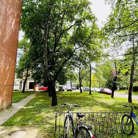 Apartment Apartman Jelena Ii *